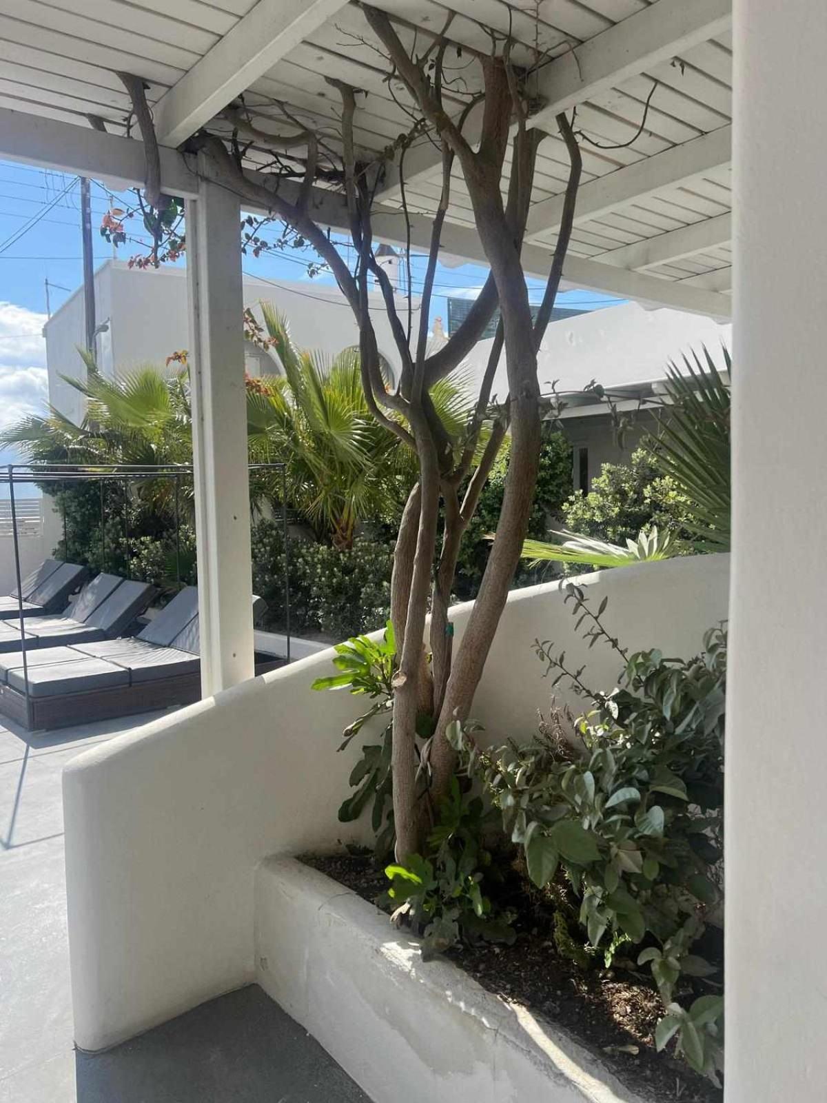 Ambience Suites Fira  Exterior foto